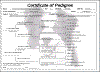 ped-3.gif (60185 bytes)