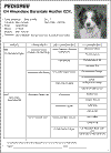 ped-6.gif (36132 bytes)